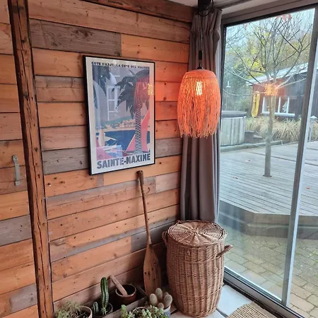 House Cozy *